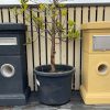 Letterbox Classic GRC Letterboxes - Image 5